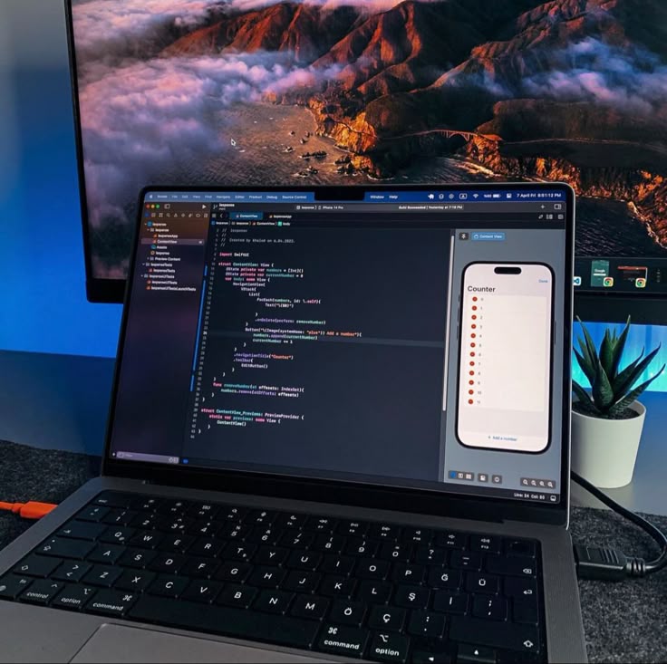 Application Development